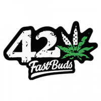 FastBuds