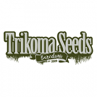 Trikoma Seeds